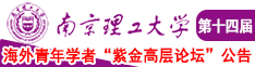 啊操死我jb91南京理工大学第十四届海外青年学者紫金论坛诚邀海内外英才！